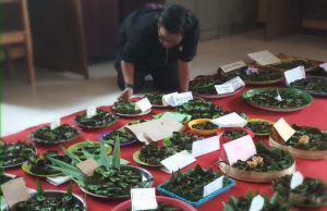 Sajian Kue Padamaran, Makanan Khas Jambi, FOTO: Riel Gontai