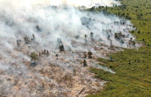 FOTO: Instagram @jambiimaji