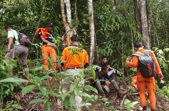 Proses pencarian seorang petani yang dikabarkan hilang di kebun kayu manis, Kerinci.