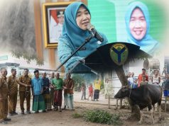 Rasakan Kebahagiaan Iduh Adha, Warga Batang Hari & Muaro Jambi Terima Bantuan Sapi Kurban